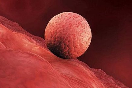 柳州高龄妈妈海南三代试管实录，42岁成功，2026费用全公开