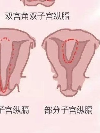 温州三代试管助孕服务机构怎么选靠谱？
